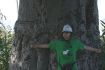 Baobab Baobab