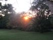 Frühmorgens um sechs Frühmorgens