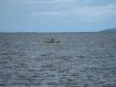 Der See Malawi-See