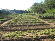 Permaculture centre